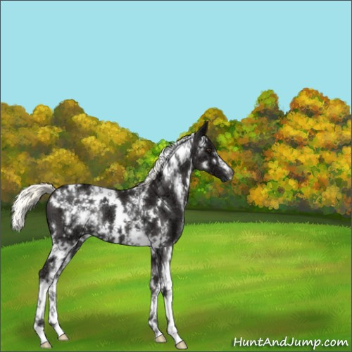 Horse Color:White Spotted Liver Chestnut Ice Mushroom 