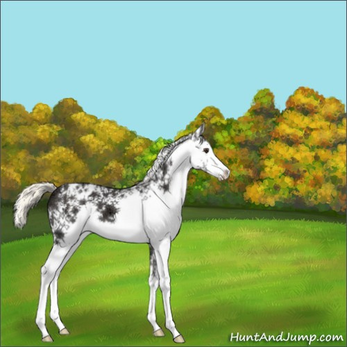 Horse Color:White Spotted Liver Chestnut Ice Mushroom 