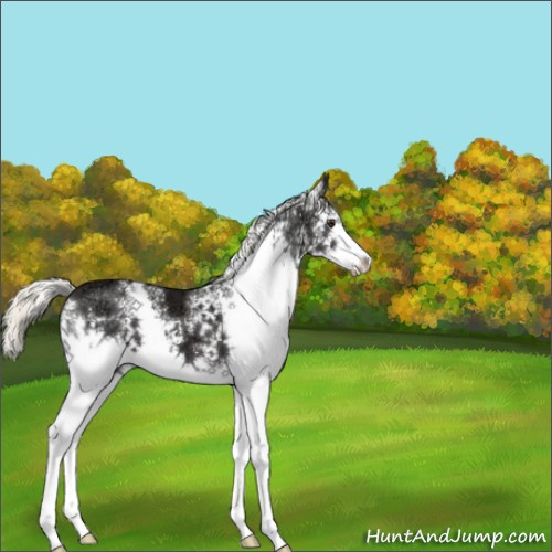 Horse Color:White Spotted Liver Chestnut Ice Mushroom 