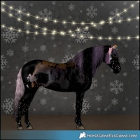 Horse Color:Void Watercolor White Spotted Liver Red Onyx Splash Tobiano 