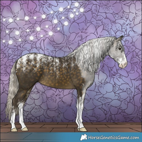 Horse Color:Powder White Silver Buckskin 