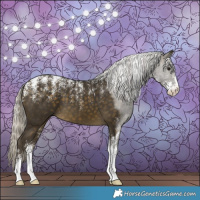 Horse Color:Powder White Silver Buckskin 
