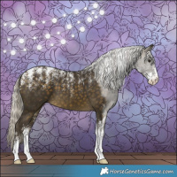Horse Color:Powder White Silver Buckskin 