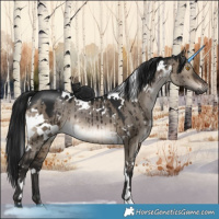 Horse Color:Gray White Spotted Brown Dun Mushroom Brindle 