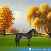 Horse Color:Gray Void Brown Dun Sabino Appaloosa 
