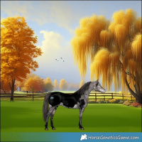 Horse Color:Void Platinum Bay Dun Sabino Snowcap 