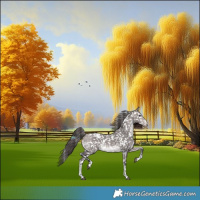 Horse Color:Platinum White Spotted Bay Dun Sabino Snowflake Varnish