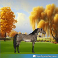Horse Color:Gray Void Brown Dun Snowflake VarnishRabicano 