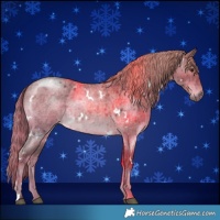 Horse Color:Painted Plaid  White Spotted Liver Red Dun Roan Brindle 