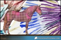 Horse Color:Plaid  Liver Red Dun Sabino 