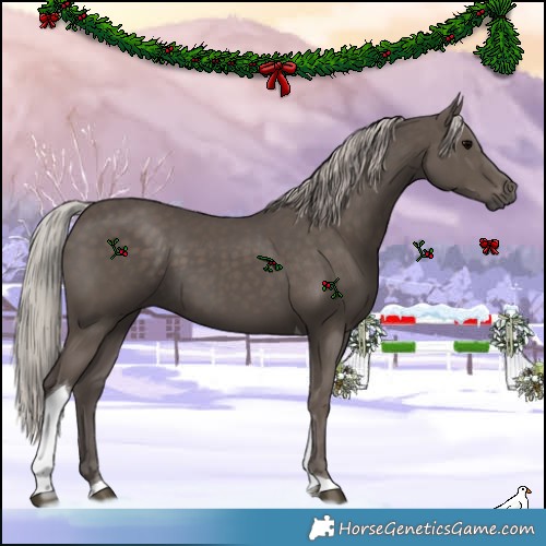 Horse Color:Silver Black Tobiano 
