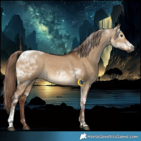 Horse Color:Gray Liver Red Dun Tobiano Rabicano 