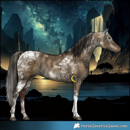 Horse Color:Gray Liver Red Dun Ice Tobiano Rabicano