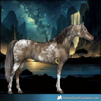 Horse Color:Gray Liver Red Dun Ice Tobiano Rabicano 