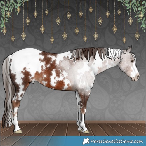 Horse Color:White Spotted Liver Chestnut 