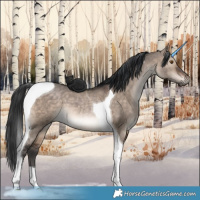 Horse Color:Brown Dun Tobiano 