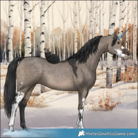 Horse Color:Brown Dun Sabino 