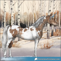 Horse Color:White Spotted Silver Brown Dun Tobiano