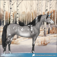 Horse Color:Platinum White Spotted Brown Dun Sabino