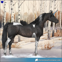 Horse Color:Platinum Brown Tobiano 