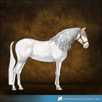 Horse Color:Platinum White Spotted Cremello Rabicano 