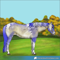 Horse Color:Watercolor Brown Ice Onyx Tobiano 