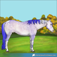 Horse Color:Watercolor Brown Ice Onyx Tobiano 