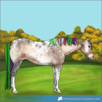 Horse Color:Painted Brown Ice Onyx Tobiano 