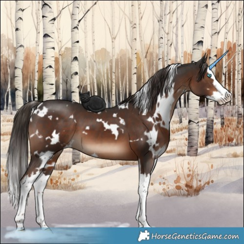 Horse Color:White Spotted Liver Chestnut Splash 