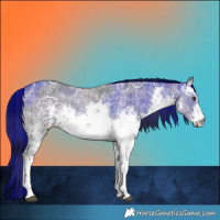 Horse Color:Plaid White Spotted Liver Red Dun Ice Sabino Brindle