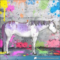Horse Color:Watercolor Plaid  White Spotted Liver Red Dun Onyx Splash Brindle 