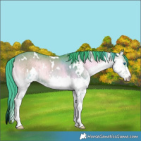 Horse Color:Watercolor White Spotted Liver Red Dun Onyx Splash Brindle 