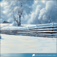 Horse Color:Gray Silver Black Tobiano