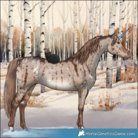 Horse Color:White Spotted Liver Red Dun Rabicano Brindle
