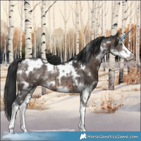 Horse Color:White Spotted Brown Dun Mushroom Sabino Rabicano Brindle