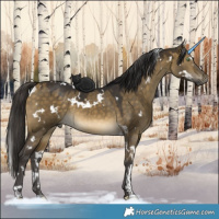 Horse Color:White Spotted Buckskin Dun 