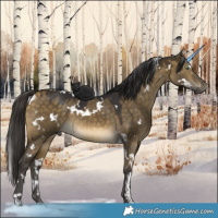 Horse Color:White Spotted Buckskin Dun 