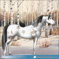 Horse Color:White Spotted Brown Dun Splash Tobiano
