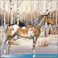 Horse Color:White Spotted Chocolate Palomino Dun Brindle