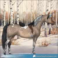 Horse Color:Brown Dun Tobiano