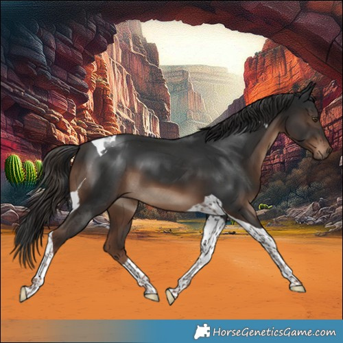 Horse Color:Liver Chestnut Tobiano 