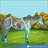 Horse Color:Void Thunderstruck Chestnut Ice Sabino Splash 