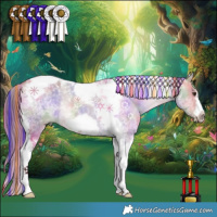 Horse Color:Platinum Painted Nacre Bay Dun Tobiano Frame Rabicano