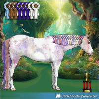 Horse Color:Platinum Painted Nacre Bay Dun Tobiano Frame Rabicano