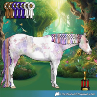 Horse Color:Platinum Painted Nacre Bay Dun Tobiano Frame Rabicano