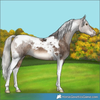 Horse Color:Silver Brown Dun Mushroom Tobiano Brindle 