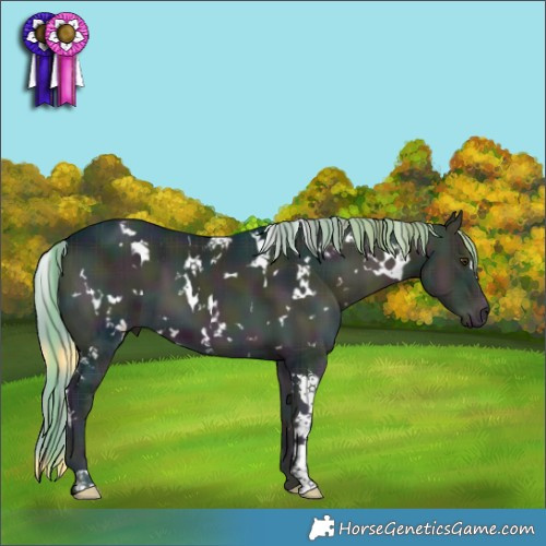Horse Color:Watercolor Plaid  White Spotted Midnight Liver Red Onyx Ice 