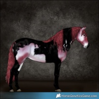 Horse Color:Void Watercolor Liver Red Onyx Tobiano 