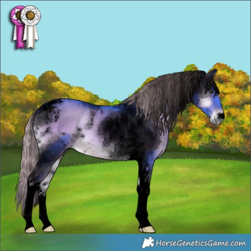 Horse Color:Void Watercolor Chocolate Palomino Onyx Tobiano 