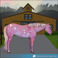 Horse Color:Gray Watercolor White Spotted Chocolate Palomino Dun 
